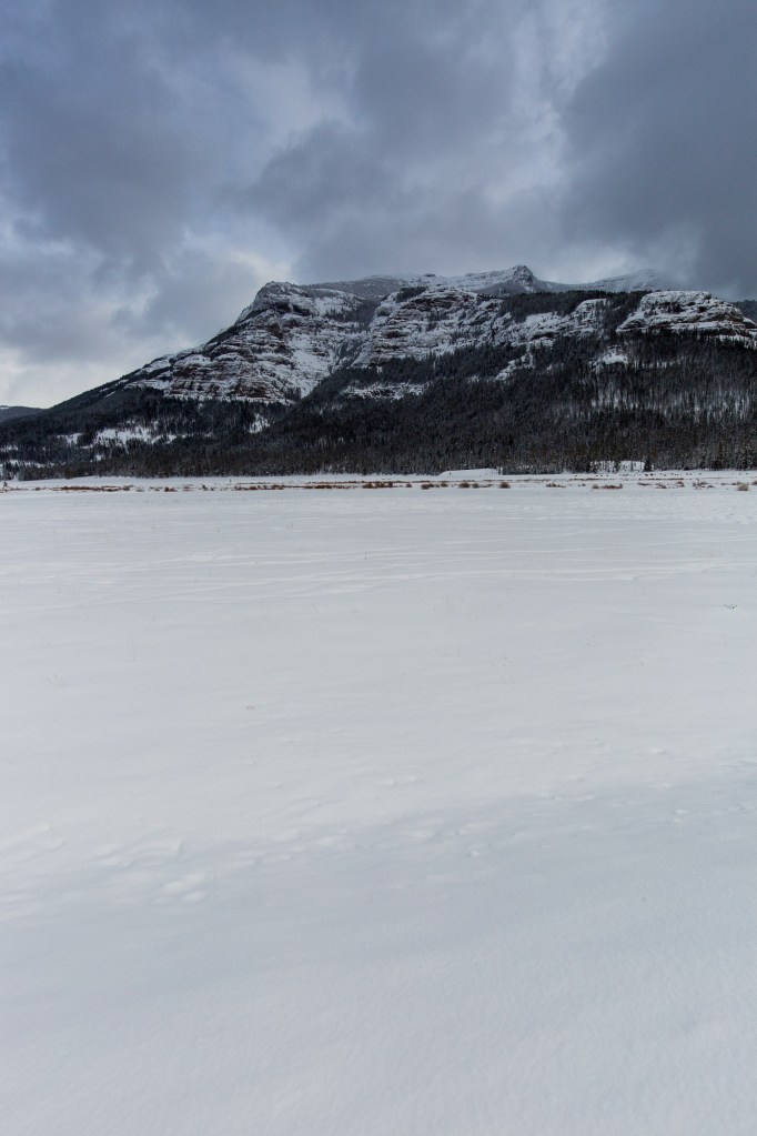 ARS_WY_20160120_1042