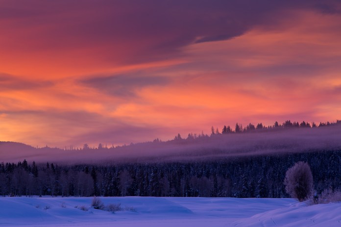 ARS_WY_20160122_1178