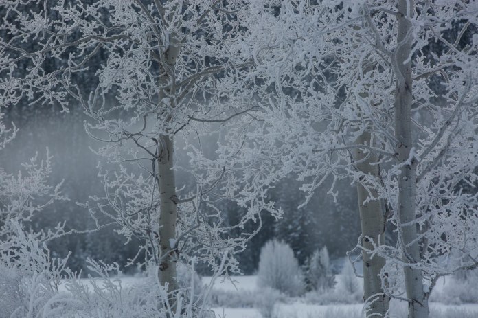 ARS_WY_20160122_1276