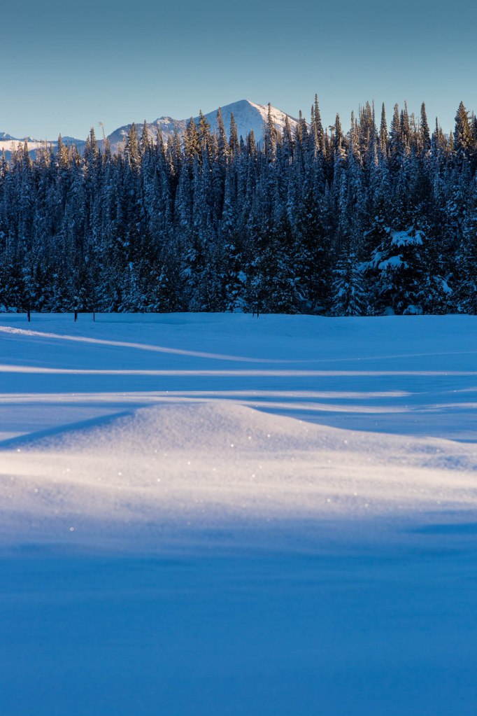 ARS_WY_20160128_2930