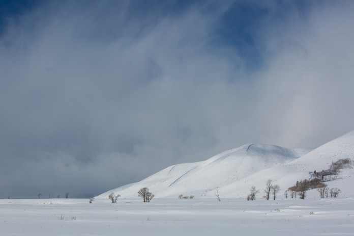 ARS_WY_20160130_3266