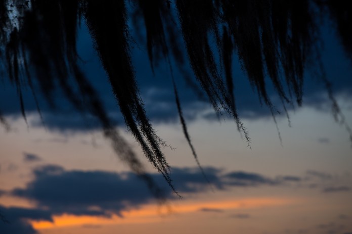 ARS_BBSP_160228_4969