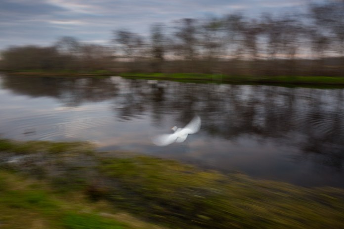 ARS_BBSP_160229_5005