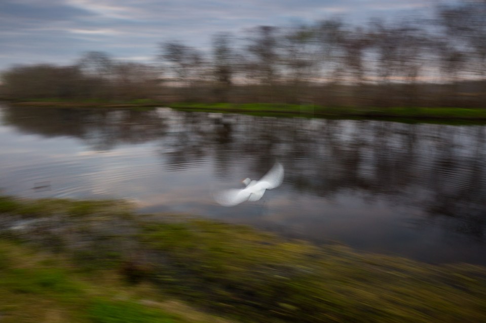 ARS_BBSP_160229_5005