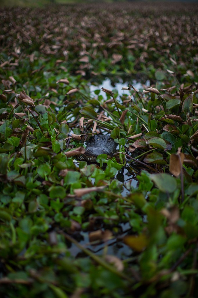 ARS_BBSP_160229_5053