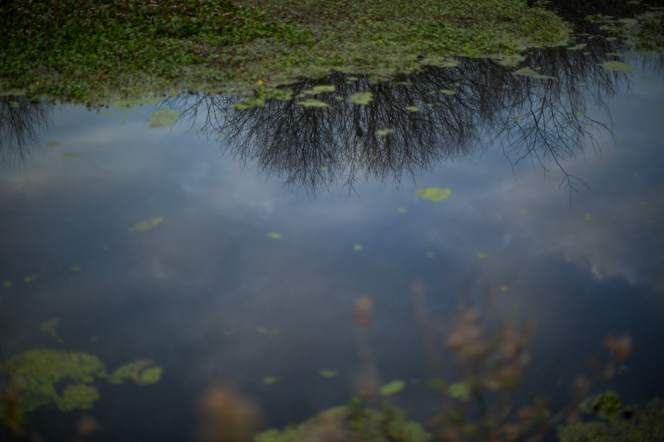 ARS_BBSP_160229_5061