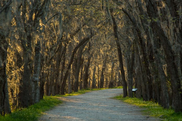 ARS_BBSP_160229_5349