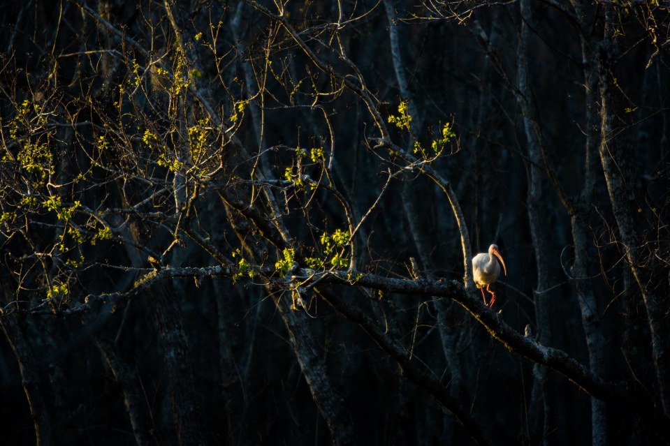 ARS_BBSP_160229_5359