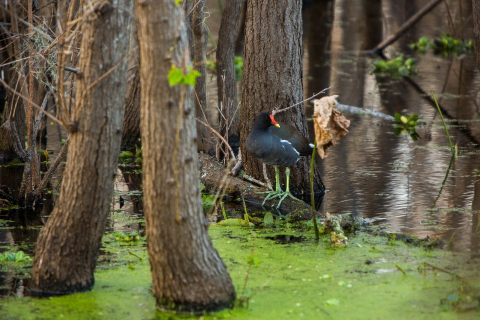 ARS_BBSP_160229_5376