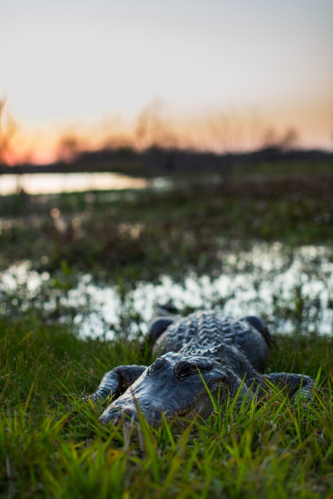 ARS_BBSP_160229_5409