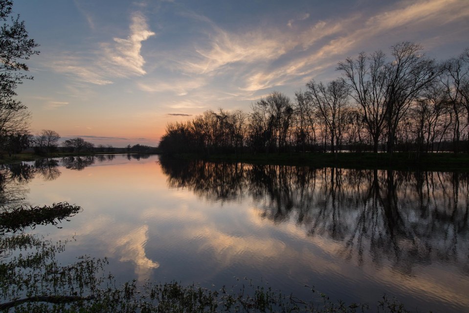 ARS_BBSP_160301_4759