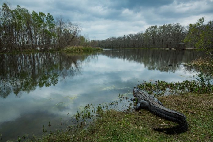 ARS_BBSP_160301_4795