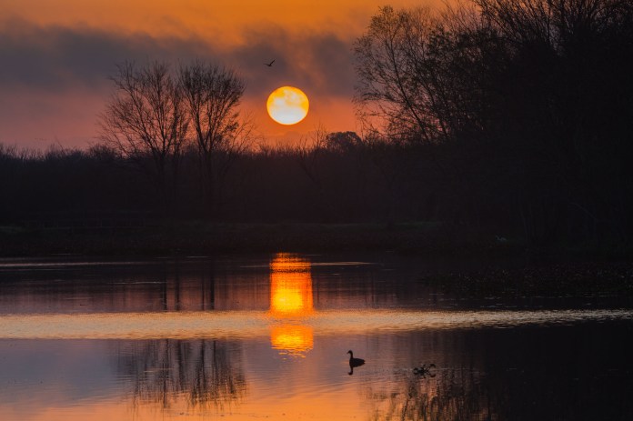 ARS_BBSP_160301_5434