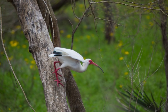 ARS_BBSP_160301_5539