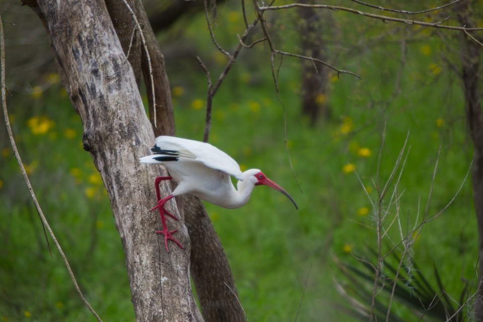 ARS_BBSP_160301_5539