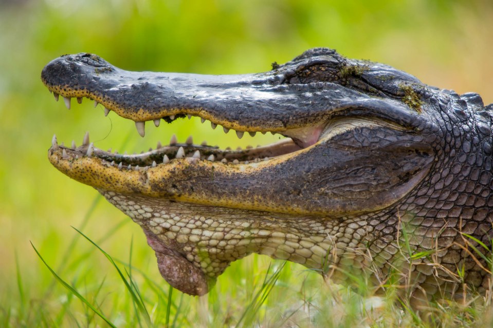 ARS_BBSP_160302_5670