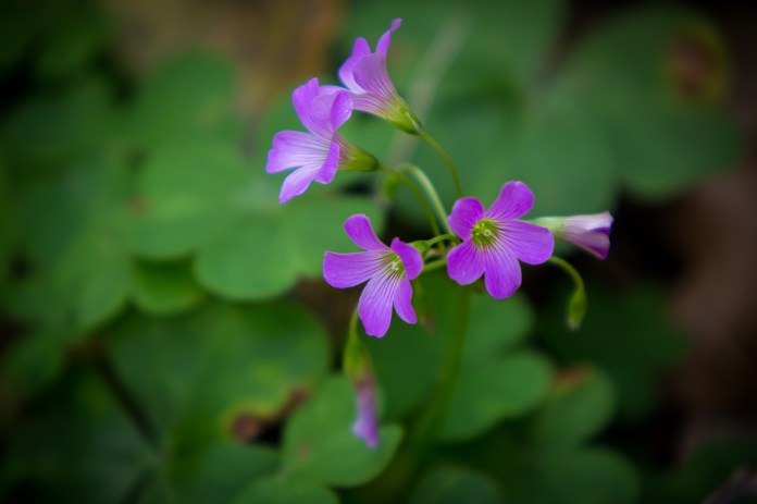 ARS_BBSP_160302_5672