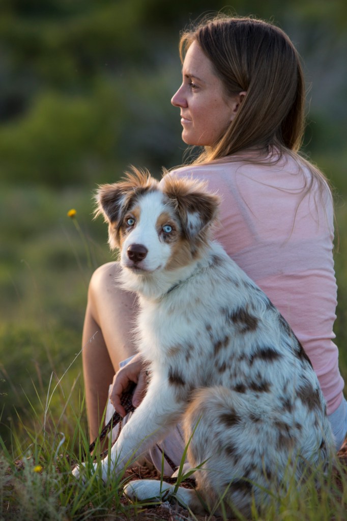 ARS_CCSP_20160605_0316