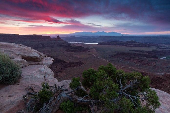 ARS_DHPSP_160611_1187