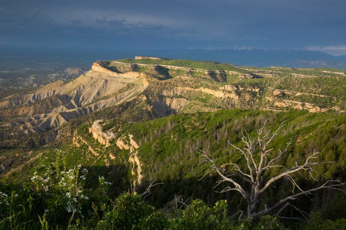 ARS_MVNP_160609_1045