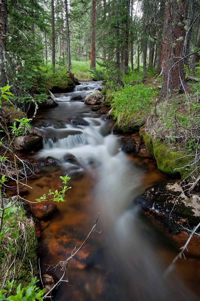 creek in forest, Rocky Mountain National Park, CO