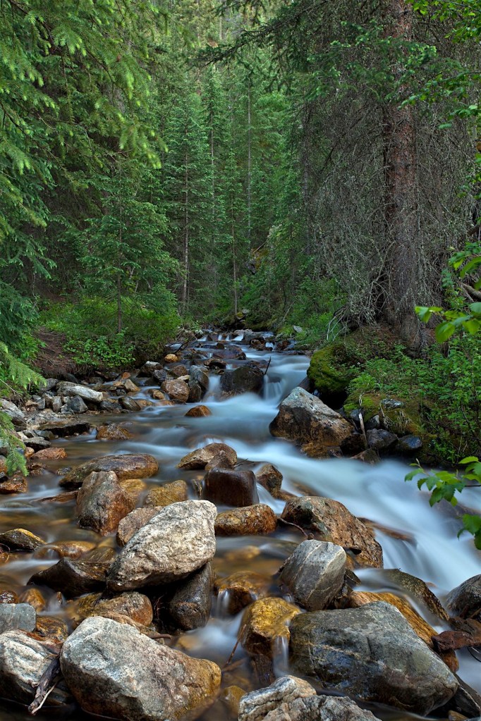 Timber Creek, Rocky Mountain National Park, CO