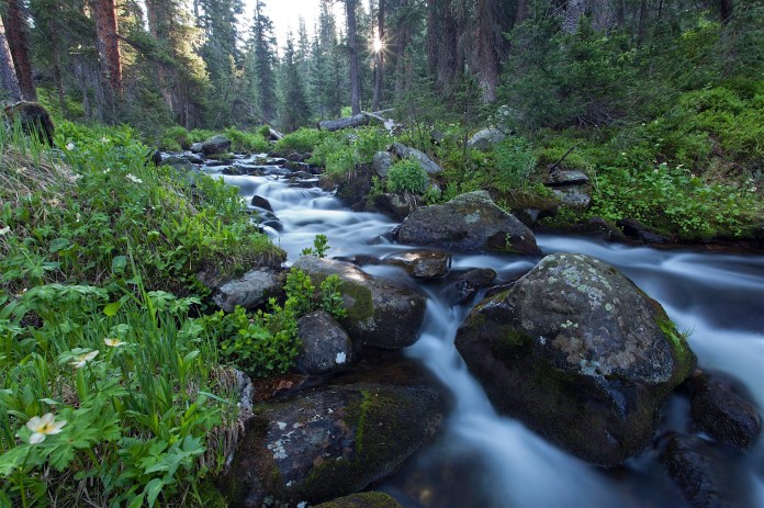 timber creek, Rocky Mountain National Park, CO