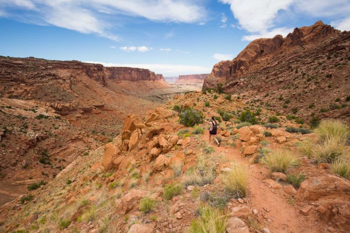 ARS_CNP_20160613_1740