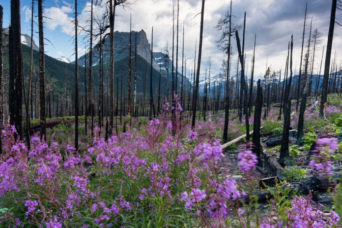 ARS_GNP_20160719_6106