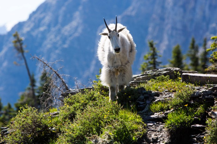 ARS_GNP_20160721_6165