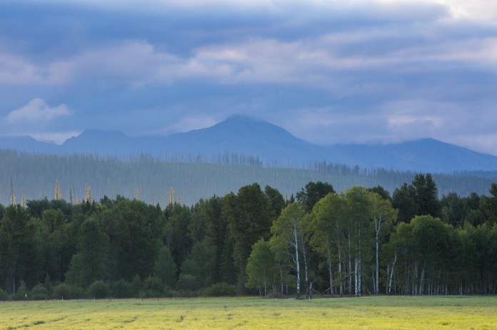 ARS_GNP_20160723_6780