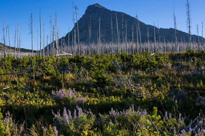 ARS_GNP_20160724_6881