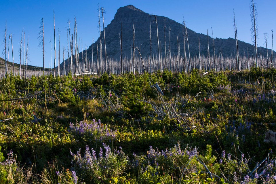 ARS_GNP_20160724_6881