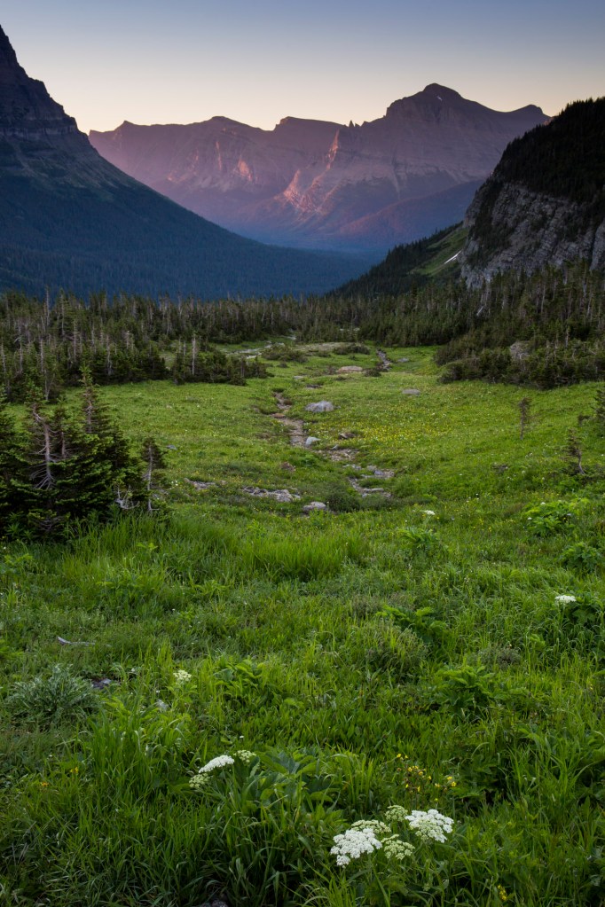 ARS_GNP_20160725_6913