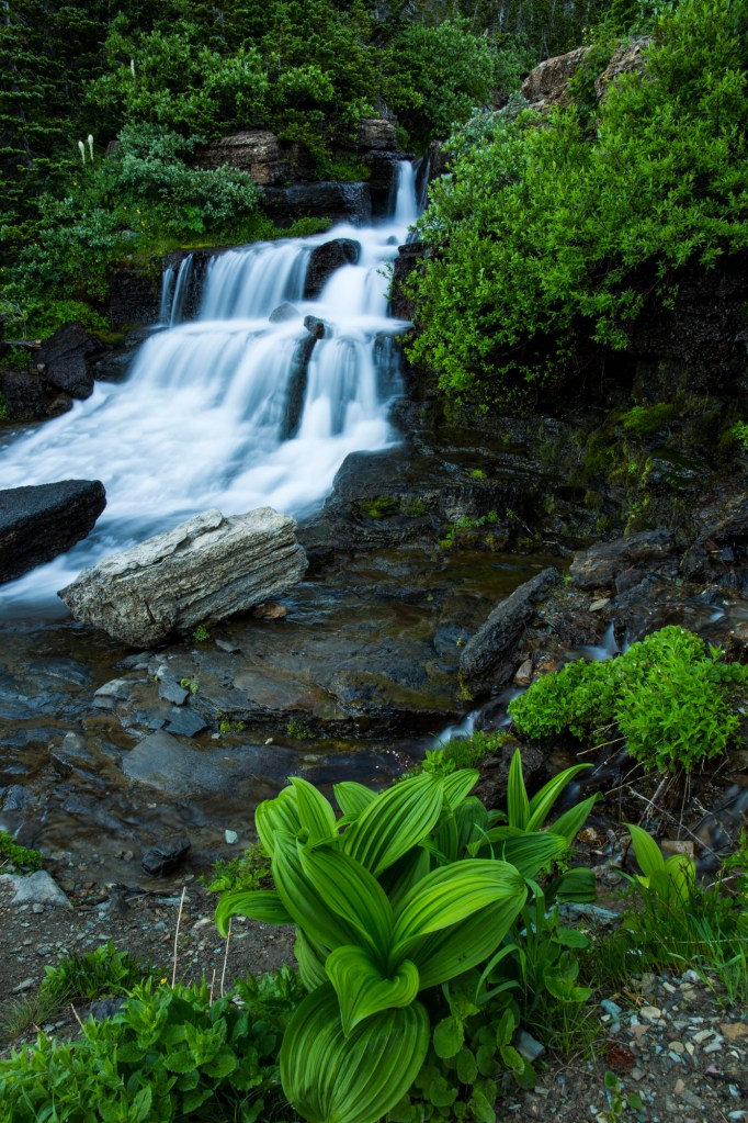 ARS_GNP_20160725_6925