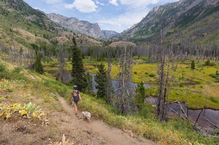 A woman and her dog hiking the New Fork trail in the Winds