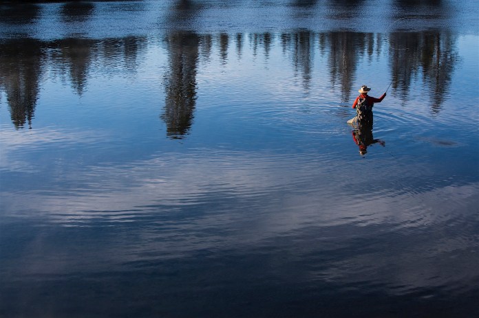 Fly fishing the Yellowstone River