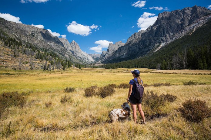 A woman and her dog admiring the view in Clear Creek Valley