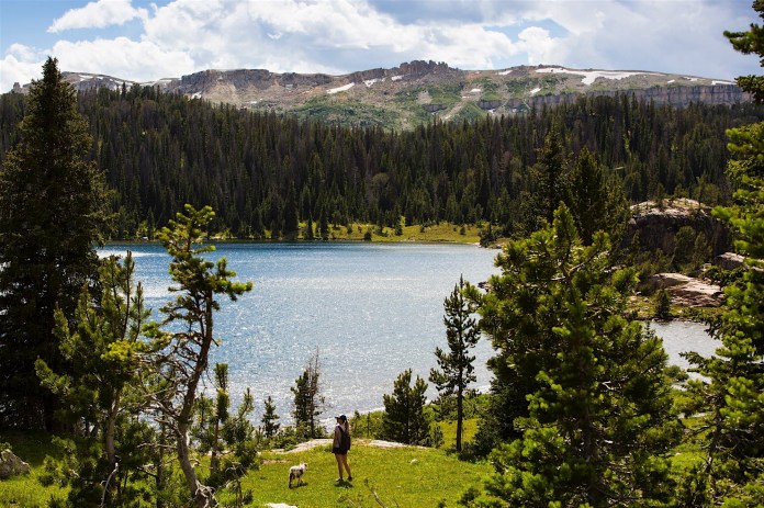 A woman and her dog overlooking Beauty Lake in the Beartooths