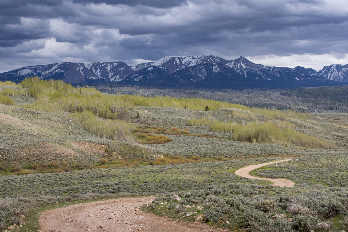 Exploring my Backyard